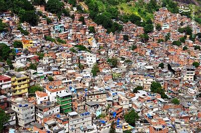 فیلم/ بزرگترین محله فقیر نشین برزیل