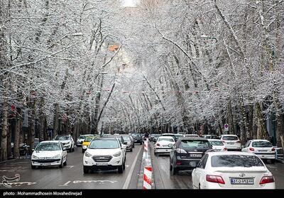 ارتفاع برف در شمال تهران به یک متر رسید/ بازگشایی تمام مسیرهای اصلی و فرعی منطقه یک با همکاری 10 منطقه معین - تسنیم