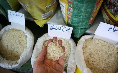 برنج ایرانی ارزان شد! | اقتصاد24