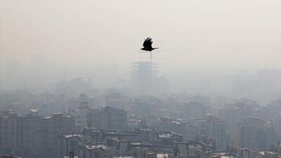 وضعیت عجیب آلودگی هوا در تهران