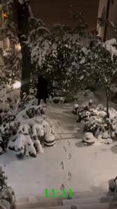 (ویدئو) رفتار عجیب بنیامین بهادری در برف