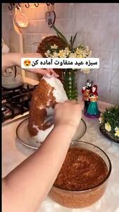 (ویدئو) یک روش ساده و سریع برای درست کردن سبزه عید با تخم شربتی