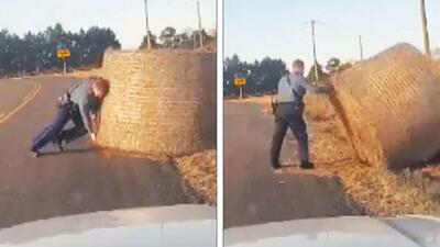 (ویدئو) جدال یک افسر پلیس با کپه یونجه!