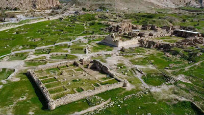 باورنکردنی ؛ صدور مجوز کاشت گل نرگس در شهر باستانی بیشاپور | تصاویر و جزئیات