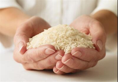 قیمت برنج درجه یک ایرانی کاهش یافت - تسنیم