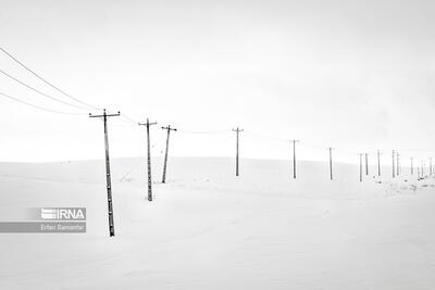 (تصاویر) به سپیدی برف