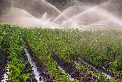هدفگذاری کاهش مصرف آب کشاورزی به ۵۱ میلیارد مترمکعب در سند امنیت غذایی