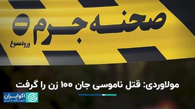 مولاوردی: قتل ناموسی جان 100 زن را گرفت