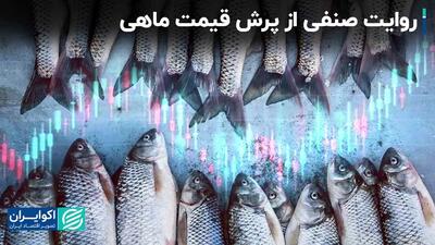 روایت صنفی از پرش قیمت ماهی