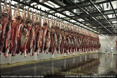 پیش‌بینی قیمت گوشت از پاییز 1403/ چشم انداز یک میلیون تومانی برای قیمت هر کیلو گوشت!