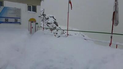 (ویدئو) نمایی از بارش برف سنگین در پناهگاه شیرپلا تهران