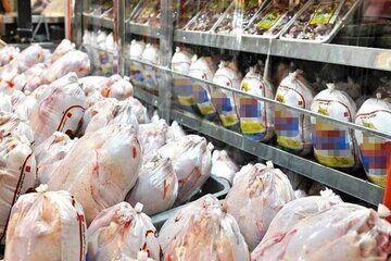 آخرین وضعیت بازار گوشت مرغ/ قیمت مرغ در بازار چند؟