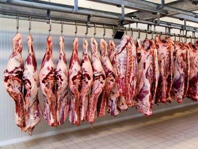 می‌گویند عرضه گوشت افزایش پیدا کرده اما کو؟ / احتمال افزایش قیمت گوشت در نیمه دوم ۱۴۰۳