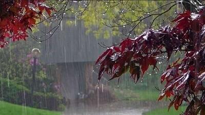 هشدار بارش شدید باران در برخی مناطق کشور/ ادامه بارندگی‌ها در سیستان و بلوچستان + فیلم
