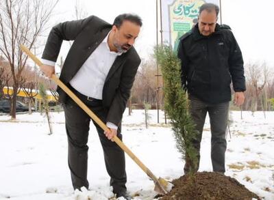 همزمان با روز درختکاری در سبزترین پتروشیمی کشور: غرس نهال از سوی مدیرعامل شاراک