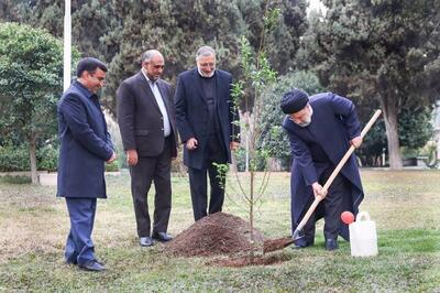 ببینید | رئیس جمهور و شهردار تهران با هم درخت کاشتند | تقدیر رئیسی از عملکرد شهرداری تهران در تکمیل کمربند سبز شهر