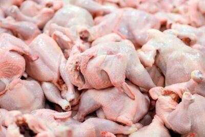 تولید ۱۰۵ هزار تن ‌گوشت‌ مرغ در خوزستان در ۱۱ ماهه امسال