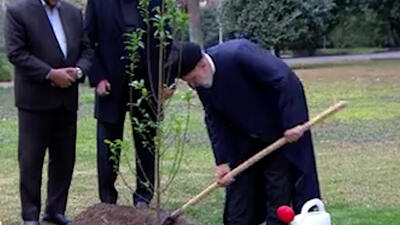 کاشت درخت به دست رئیس‌جمهور در روز درختکاری