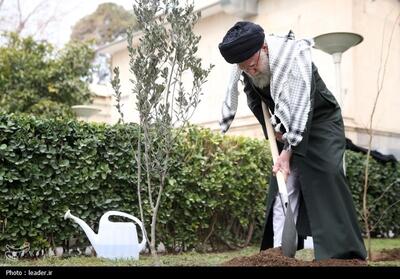 کاشت نهال در روز درختکاری توسط رهبرمعظم انقلاب- عکس خبری تسنیم | Tasnim