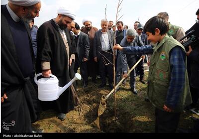 مراسم روز درختکاری درهمدان- عکس استانها تسنیم | Tasnim