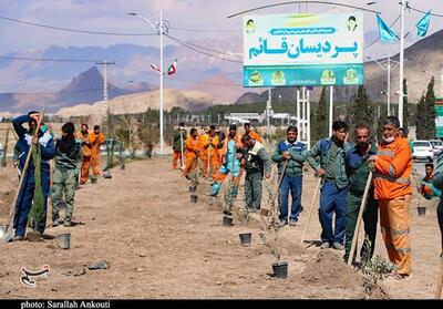 کاشت درخت به یاد شهدای انفجار تروریستی در کرمان + تصویر - تسنیم