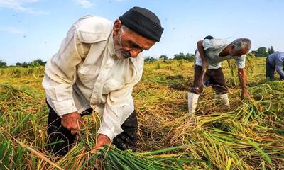 خلاقیت کشاورز هندی برای تولید برق+عکس
