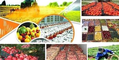 میانگین قیمت خرید مستقیم محصولات از کشاورزان اعلام شد