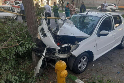 ببینید | قفل کردن فرمان برقی ۲۰۷ وسط رانندگی؛ برخورد شدید به درخت در تهران