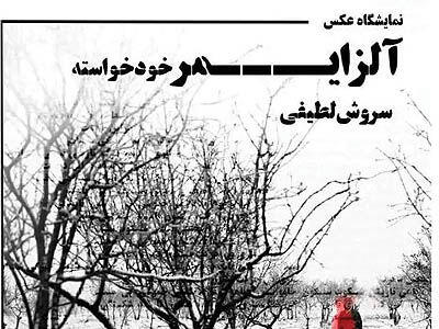«آلزایمر خود‌خواسته» یک عکاس در نگارخانه شفق