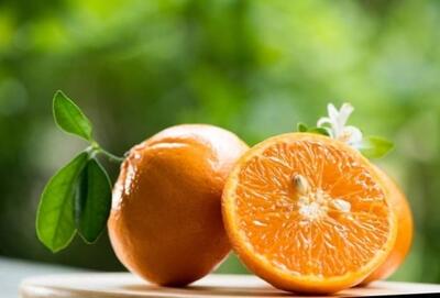 تمام خواص آب نارنج برای درمان و زیبایی