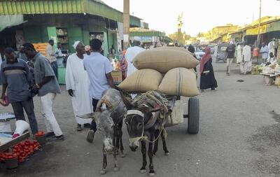 (ویدئو) افزایش قیمت الاغ در سودان در پی کمبود سوخت