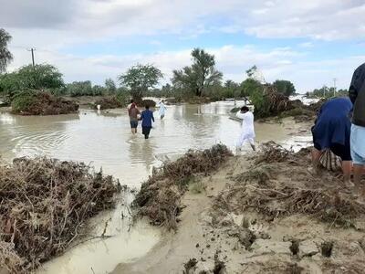 سیل به ۱۶ شهرستان، ۱۰۰۰ روستا در بلوچستان خسارت وارد کرد