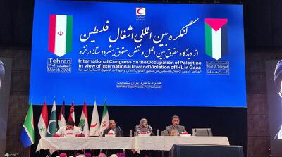 برگزاری پنل‌های تخصصی در کنگره بین‌المللی حقوقی غزه
