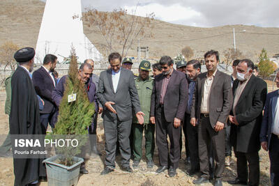 کاشت درخت به نام شهدا در بام ایران+ عکس