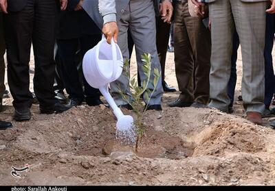 دعوت استاندار یزد از کشورهای عضو اکو؛ به احترام زنان و کودکان مظلوم غزه درخت بکاریم - تسنیم