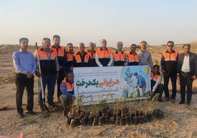 کاشت 37 هزار اصله نهال جنگلی در حاشیه جاده‌های استان بوشهر - تسنیم