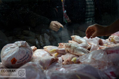 نمود کاهش قیمت مرغ در تورم دهک‌ها