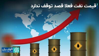 قیمت نفت فعلا قصد توقف ندارد