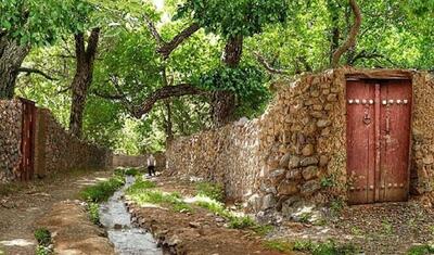 تأمین آب بخش زیادی از باغات قصردشت شیراز از سال آینده