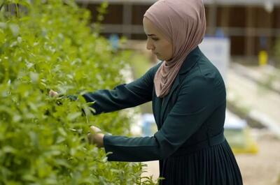 فعالیت زنان برای تقویت سیستم غذایی در اردن/ بانک جهانی نیز برای کمک می‌آید