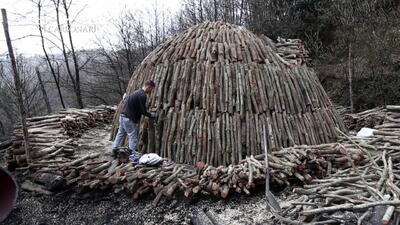 (ویدئو) فرآیند تبدیل کردن ده ها تن درخت به زغال به روش عجیب ایتالیایی ها