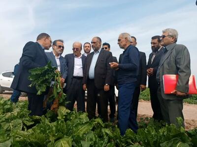 بازدید وزیر جهاد کشاورزی از طرح‌های کشاورزی کشت و صنعت شهید رجایی