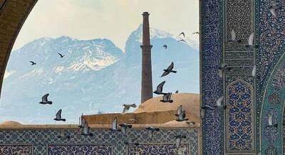 پرواز پرندگان در مسجد جامع اصفهان