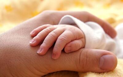 آیین‌نامه اجرایی قانون ترویج تغذیه با شیر مادر و حمایت از مادران در دوران شیردهی
