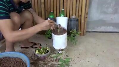 (ویدئو) یک تکنیک خلاقانه برای کشت گوجه و برداشت 14 کیلو در بطری پلاستیکی