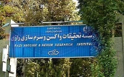 ادامه صادرات واکسن و محصولات موسسه رازی به کشور عراق
