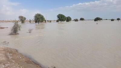 ضرورت مطالعه جامع ‌برای جلوگیری از هدر رفت منابع آبی سیستان و بلوچستان