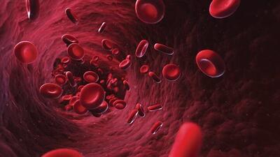 ببینید | مهم‌ترین نشانه‌های کم خونی چیست؟