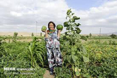 اجرای طرح «زنان کارآمد؛ روستای سرآمد» در روستاهای خرمشهر