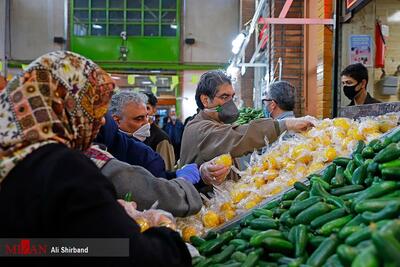 انواع میوه در آستانه ماه رمضان ۴۴ درصد ارزانتر از سطح شهر در میادین میوه و تره‌بار عرضه می‌شود